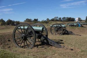 cannons in a row in a field under a blue sky